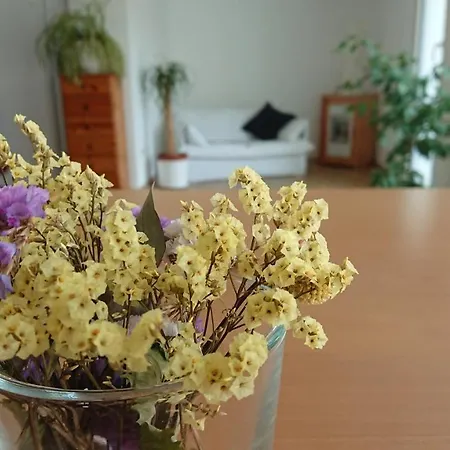 In Messenaehe Apartman Hannover